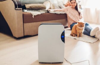 Ideas for Selecting the Very best Moveable Room Air Cleaner
