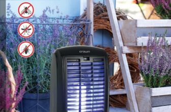 Your Information to Mosquito-Free Dwelling at Residence