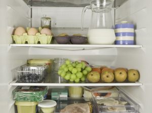 Fridge Group: Storing and Reheating Leftovers Safely