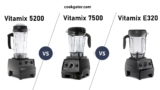 Vitamix 5200 Vs 7500 Vs 5300 Vs E320: Comparability & Critiques